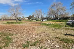 9249 E Ave R 10, Littlerock, CA 93543 - Photo 20