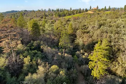 1 Ridgeview Circle, Sutter Creek, CA 95685 - Photo 16