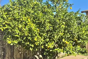 32156 Machado, Lake Elsinore, CA 92530 - Photo 40