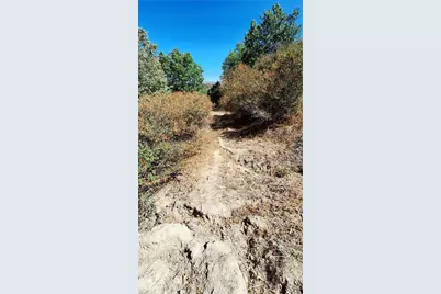 0 Coulter, Cedar Glen, CA 92321 - Photo 10