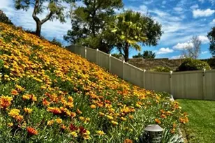 7743 Gold Buckle Ct, Highland, CA 92346 - Photo 62