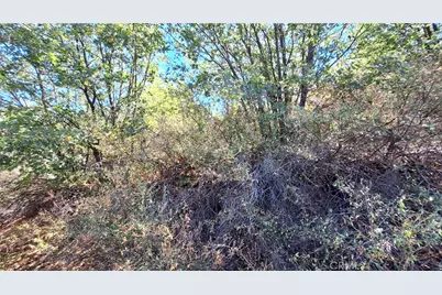 0 Coulter, Cedar Glen, CA 92321 - Photo 4