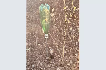 37551 Pisgah Peak Road, Yucaipa, CA 92399 - Photo 2