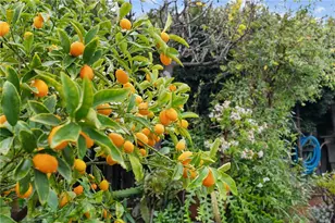 19320 Totem Ct, Riverside, CA 92508 - Photo 46