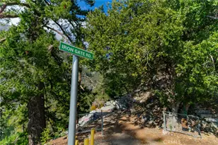 73 Upper San Antonio, Mount Baldy, CA 91759 - Photo 44