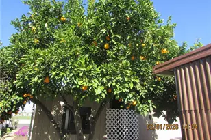 601 Kirby St, Hemet, CA 92545 - Photo 30