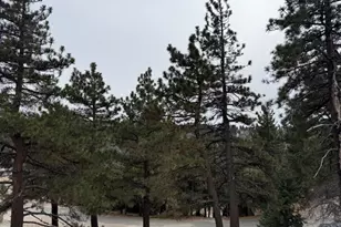 33149 Holcomb Creek Dr, Green Valley Lake, CA 92341 - Photo 10