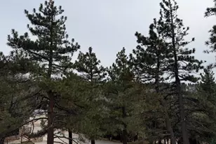 33149 Holcomb Creek Dr, Green Valley Lake, CA 92341 - Photo 20