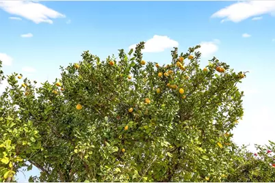 3582 Serenity, Palm Springs, CA 92262 - Photo 42