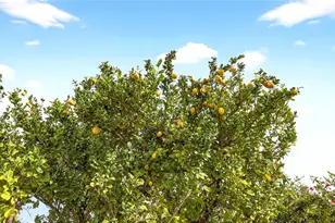 3582 Serenity, Palm Springs, CA 92262 - Photo 42