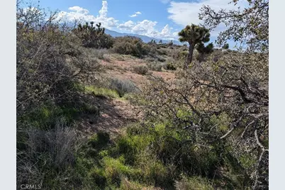 21 Atsina, Phelan, CA 92371 - Photo 10