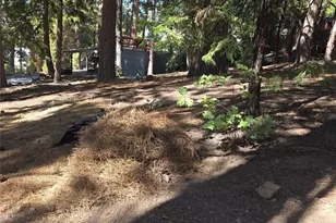 31492 Inspiration, Running Springs, CA 92382 - Photo 1