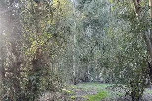 28639 Rostrata, Lake Elsinore, CA 92532 - Photo 38