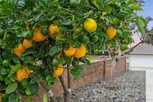 10717 Cleveland, Riverside, CA 92503 - Photo 40