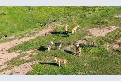 39250 Ortega Highway, San Juan Capistrano, CA 92562 - Photo 54