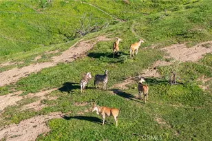 39250 Ortega Hwy., San Juan Capistrano, CA 92562 - Photo 54