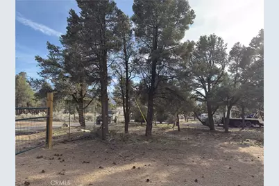 1820 Golden Rod, Big Bear City, CA 92314 - Photo 24