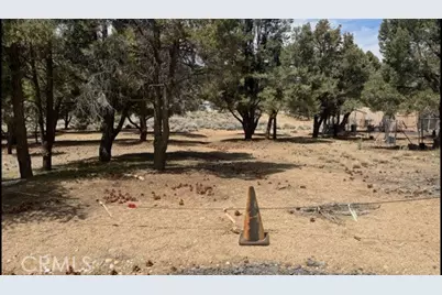 1820 Golden Rod, Big Bear City, CA 92314 - Photo 6