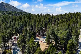 31686 Luring Pines Cir, Running Springs, CA 92382 - Photo 42