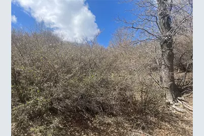 0 Pine Drive, Cedar Glen, CA 92321 - Photo 8