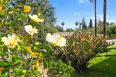 2429 Chauncy Place, Riverside, CA 92506 - Photo 48