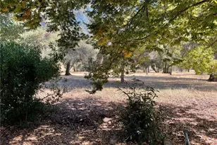 9275 Sheep Ranch Rd, Mountain Ranch, CA 95246 - Photo 14