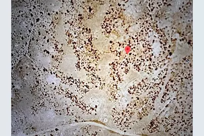 1 Hinkley Rd, Hinkley, CA 92347 - Photo 2