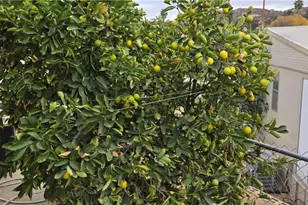 30949 Palmetto Palm Ave, Homeland, CA 92548 - Photo 18