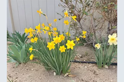 10906 Rockaway Glen, Apple Valley, CA 92308 - Photo 32