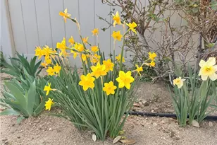 10906 Rockaway Glen, Apple Valley, CA 92308 - Photo 32