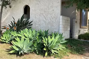 3700 Mountain Ave, San Bernardino, CA 92404 - Photo 2