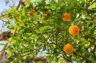 236 W 1st St, San Dimas, CA 91773 - Photo 38