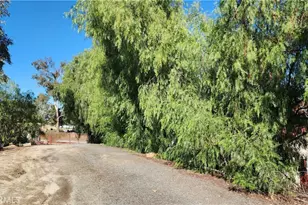 23729 Citrus Ave, Perris, CA 92570 - Photo 64