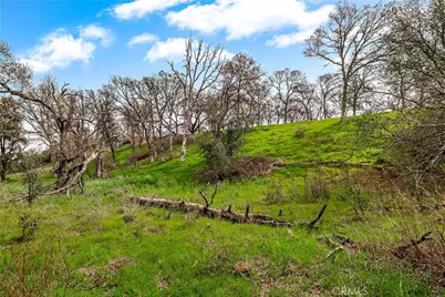 16475 River Heights Drive, Red Bluff, CA 96080 - Photo 6