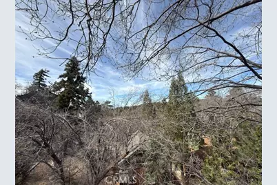33466 Angeles, Green Valley Lake, CA 92341 - Photo 16