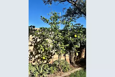 879 Derby, Corona, CA 92882 - Photo 54