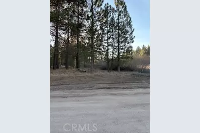 34557 Polique Canyon, Fawnskin, CA 92333 - Photo 2