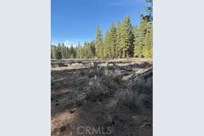 34557 Polique Canyon, Fawnskin, CA 92333 - Photo 4