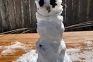 708 W Country Club Blvd, Big Bear City, CA 92314 - Photo 20