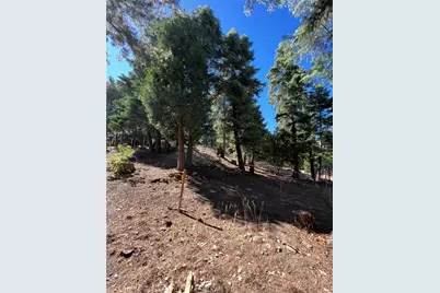 295 Grandview, Twin Peaks, CA 92391 - Photo 4