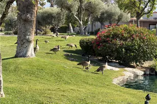 1149 Via Tenis, Palm Springs, CA 92262 - Photo 32