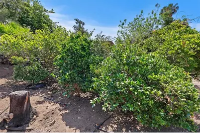 115 East Street, Norco, CA 92860 - Photo 56