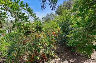 115 East St, Norco, CA 92860 - Photo 58