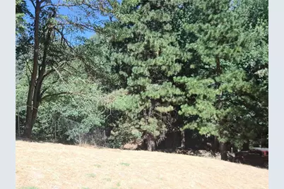 24814 Edelweiss, Crestline, CA 92325 - Photo 2