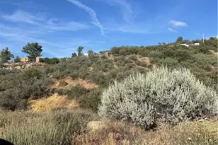 50750 Anzanita Ln, Anza, CA 92539 - Photo 1