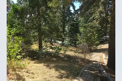 30778 Live Oak, Running Springs, CA 92382 - Photo 22