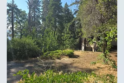 30778 Live Oak, Running Springs, CA 92382 - Photo 30
