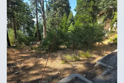 30778 Live Oak, Running Springs, CA 92382 - Photo 20