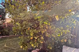 24167 Via Vargas Dr, Moreno Valley, CA 92553 - Photo 52