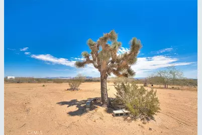 55525 Ornelas Lane, Landers, CA 92285 - Photo 44